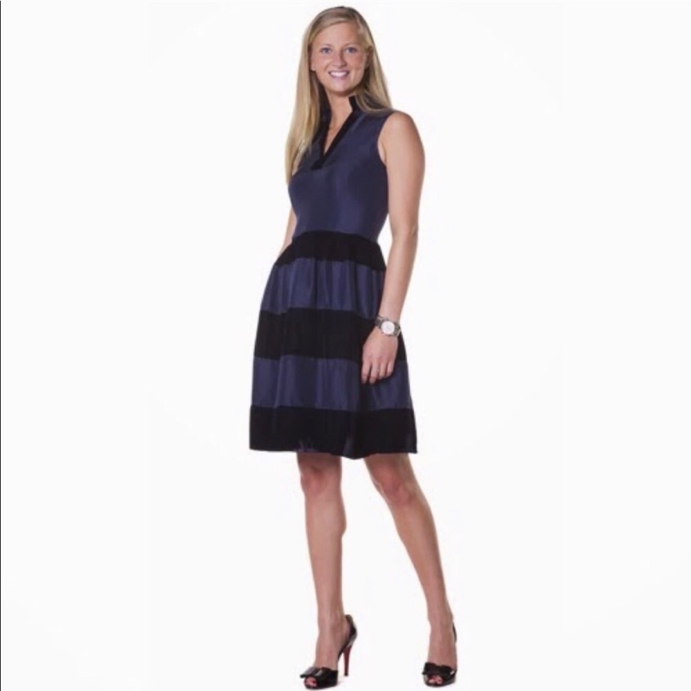 STS SAIL TO SABLE Silk Velvet Stripe Navy Dress M